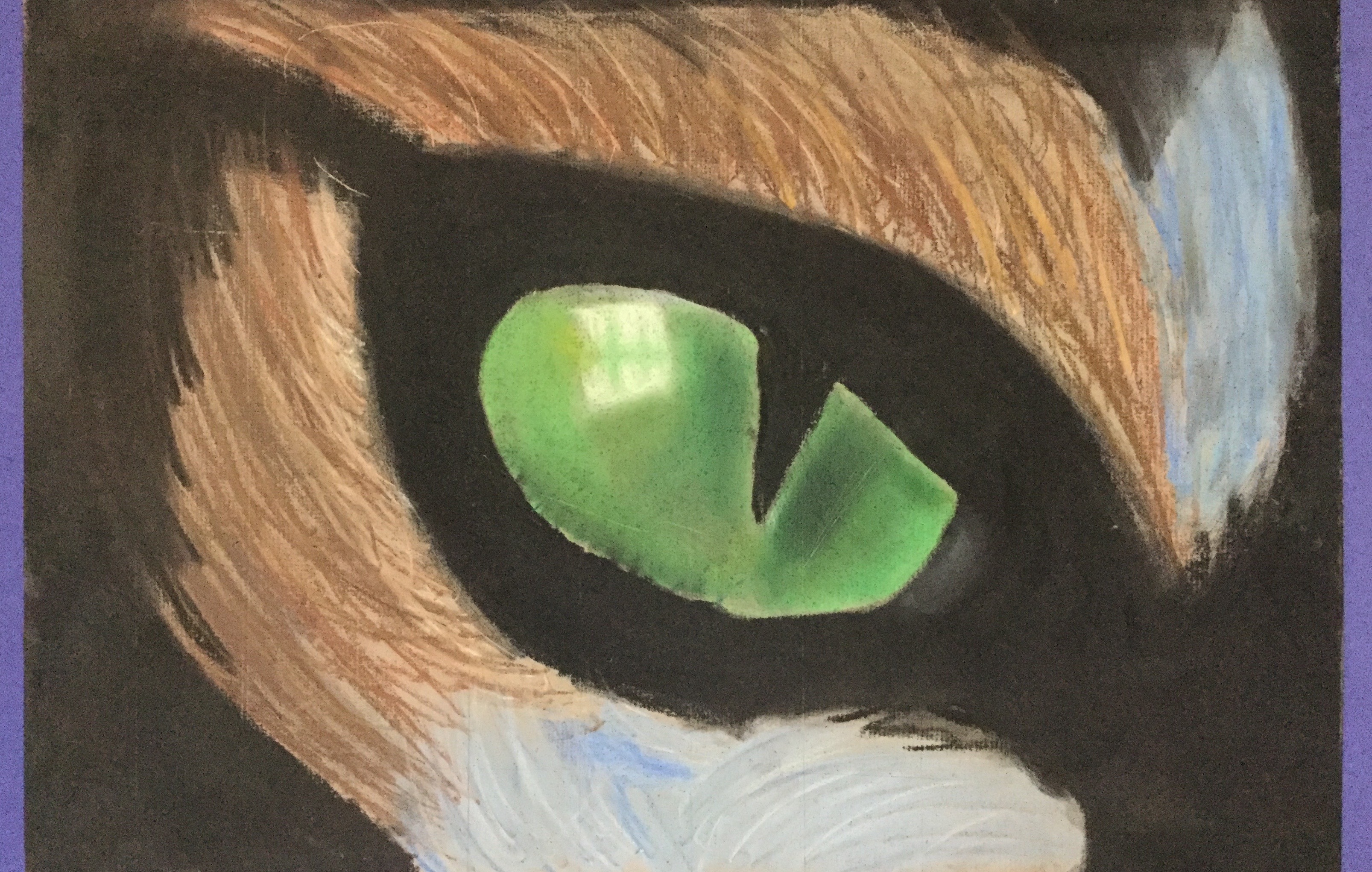 Animal Eyes in Grade 7 – Mrs Jardin's ART room