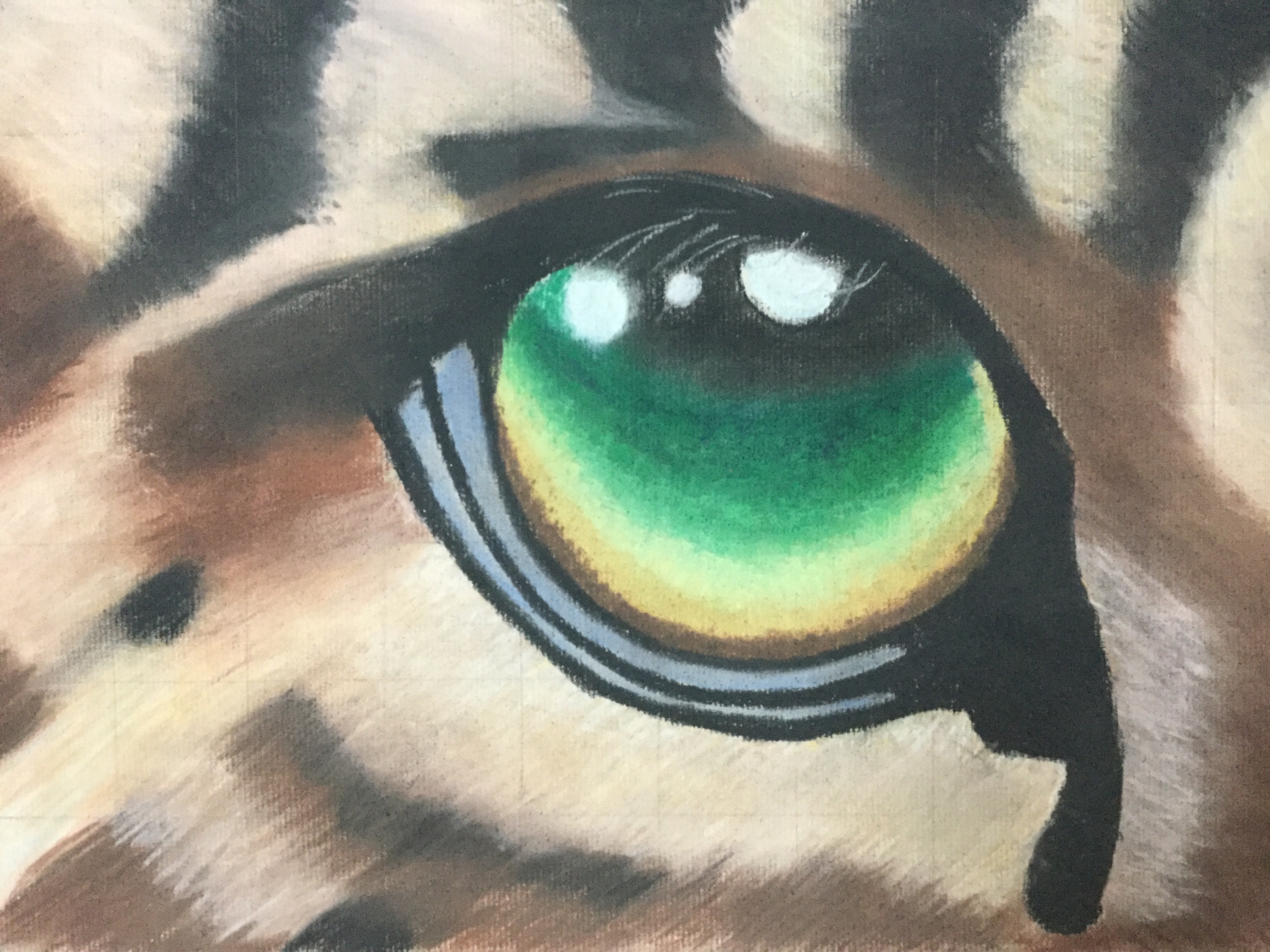 Animal Eyes in Grade 7 – Mrs Jardin's ART room